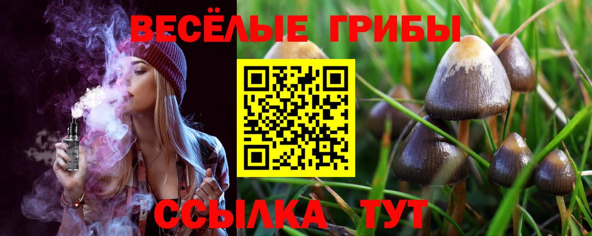 Псилоцибиновые грибы прущие грибы  Вход с VPN  Лангепас 